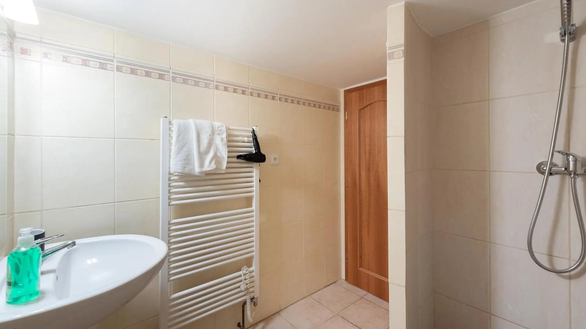 Apartment With Terrace In Prague Center